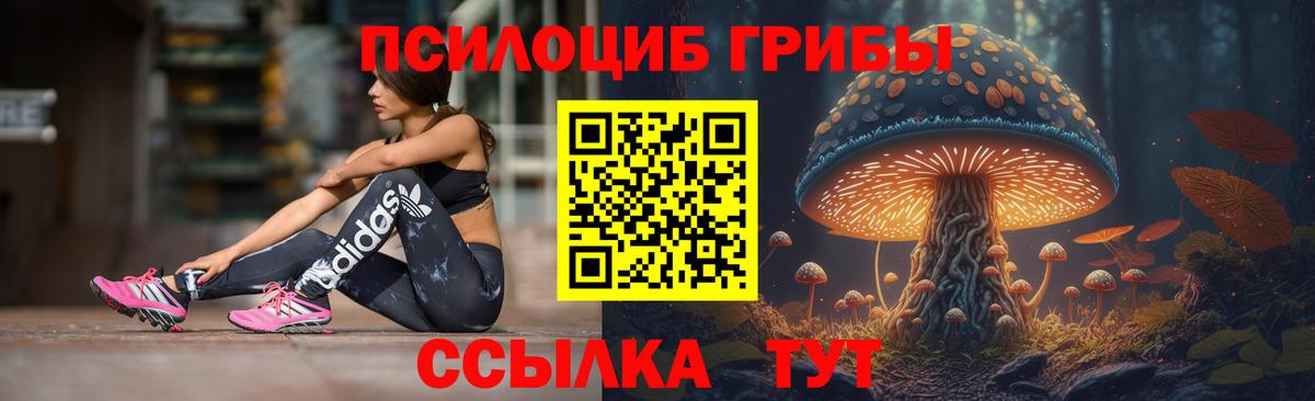 Псилоцибиновые грибы прущие грибы  Галлюциногенные грибы прущие грибы  Псков  Вход с VPN 