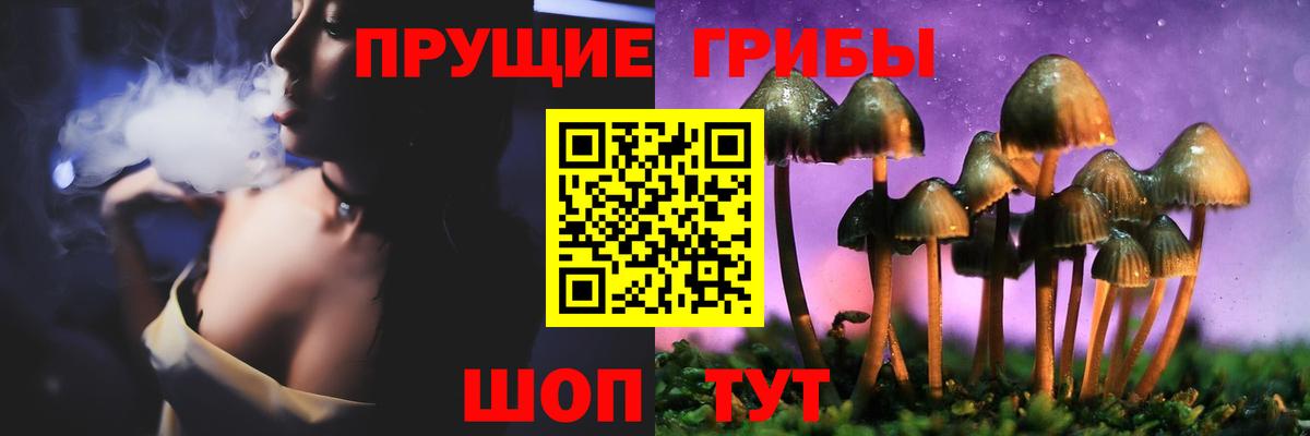 Псилоцибиновые грибы мухоморы Псков