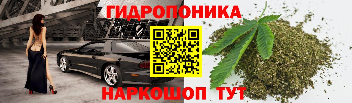 Каннабис OG Kush  Бошки марихуана марихуана  Вход с VPN  Марихуана сатива  Псков 